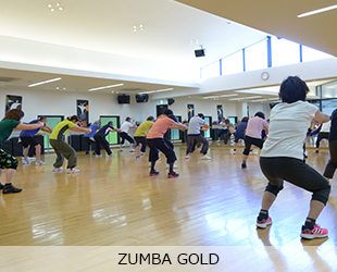 ZUMBA GOLD